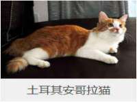 上海而萨而网络科技有限公司