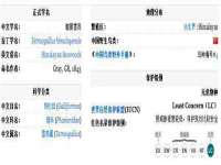 上海而萨而网络科技有限公司