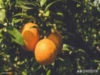 上海而萨而网络科技有限公司