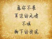 上海而萨而网络科技有限公司