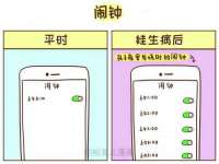 上海而萨而网络科技有限公司