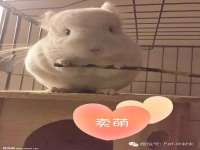 上海而萨而网络科技有限公司