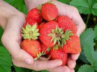 上海而萨而网络科技有限公司